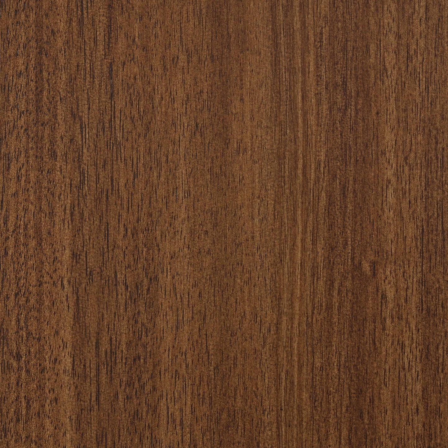 Lyncott - Brown - Dining Room Server